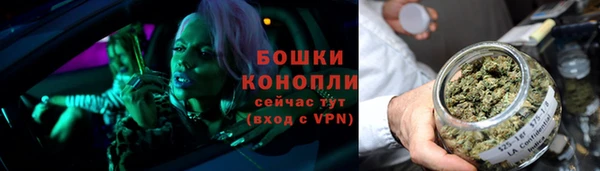 шишки Наволоки