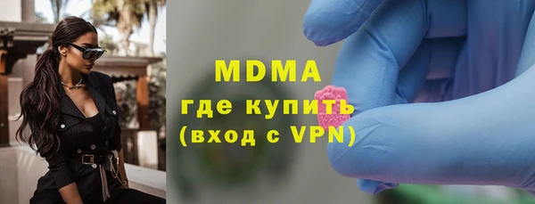 шишки Бикин