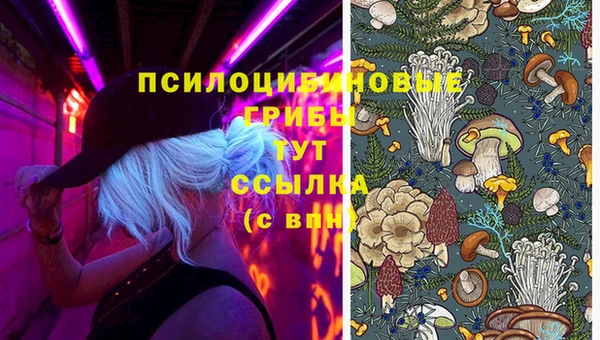 не бодяженный Билибино