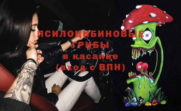 шишки Наволоки