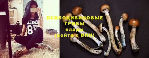 шишки Наволоки