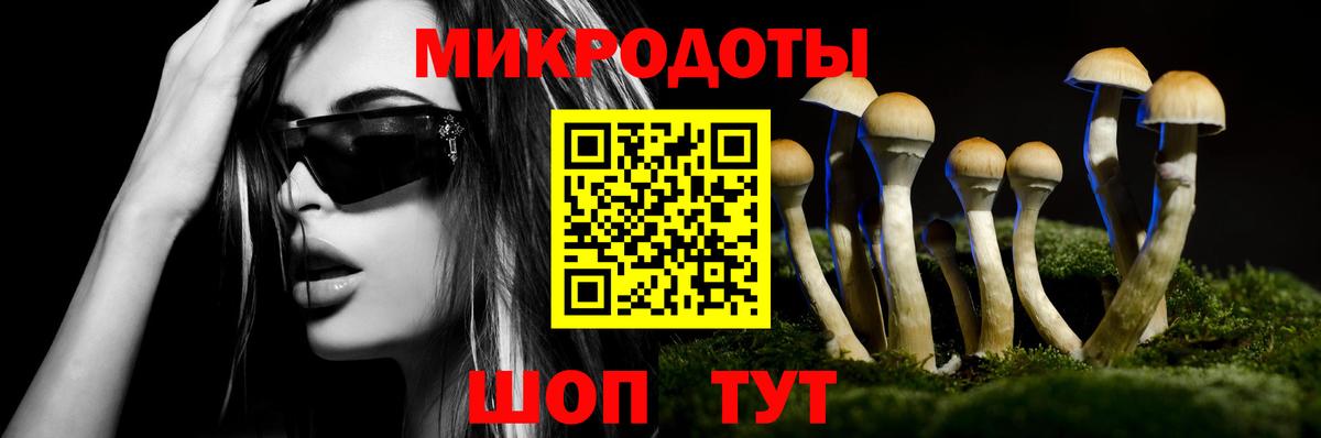 Галлюциногенные грибы MAGIC MUSHROOMS  Псилоцибиновые грибы мухоморы  Вход с VPN  Чистополь 